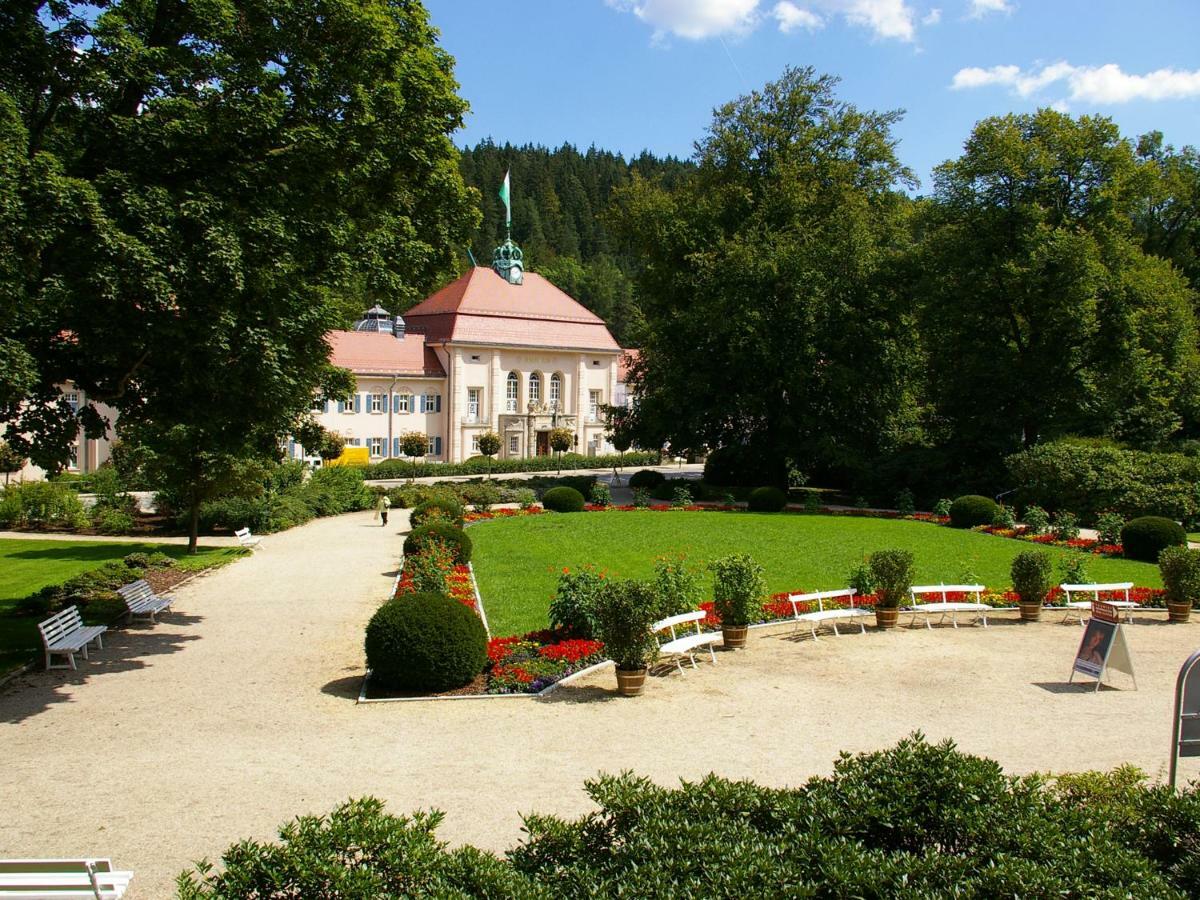 Pension Weisse Rose, Parkplatz, Fruehstueck, Wlan, Zentral باد إلستر المظهر الخارجي الصورة